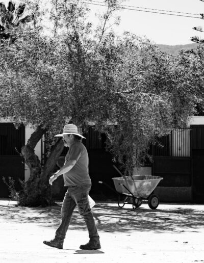 Image en noir&blanc d'un ouvrier qui travaille dans un ranch.